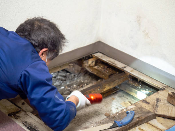 Best Post-Remediation Services in Stonebridge, NJ