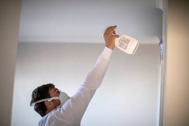 Best Kitchen Mold Remediation in Stonebridge, NJ