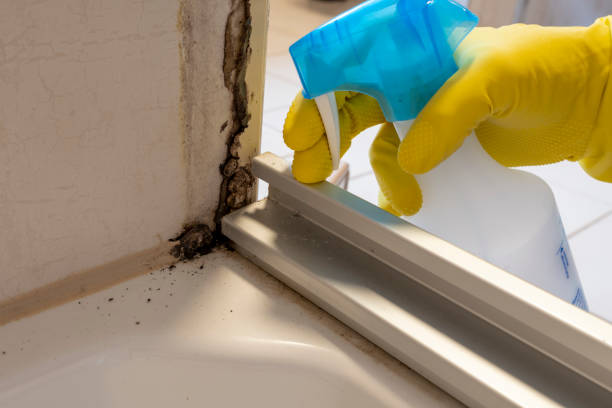 Best HVAC Mold Remediation in Stonebridge, NJ
