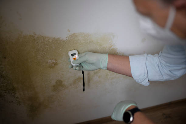 Best HVAC Mold Remediation in Stonebridge, NJ