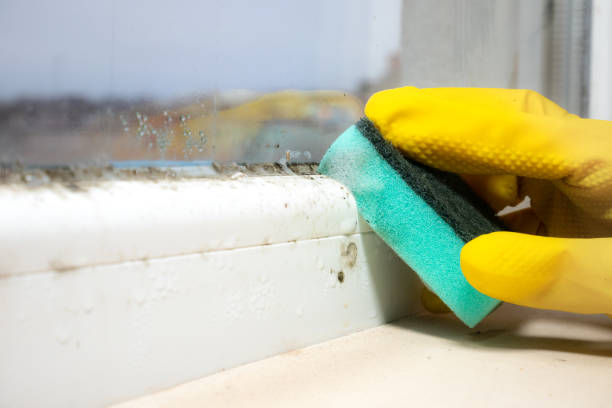 Best Industrial Mold Remediation in Stonebridge, NJ
